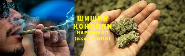 МДПВ Осинники