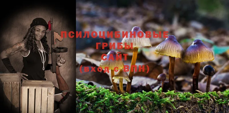 Галлюциногенные грибы Cubensis Нариманов