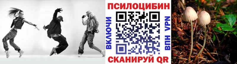 Псилоцибиновые грибы Psilocybe Нариманов